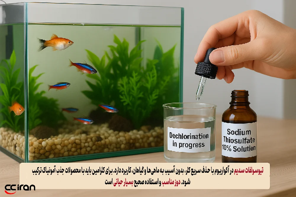 کاربرد سدیم تیوسولفات برای حذف کلر در آکواریوم